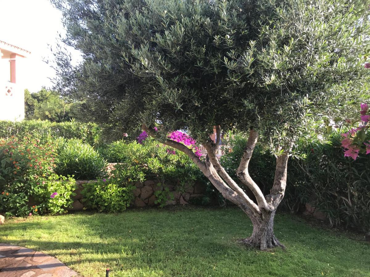 Tavolara Paradise Home Loiri Porto San Paolo Exterior foto